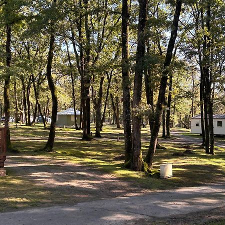 Coussay-les-Bois Camping Les Petites Minaudieres מראה חיצוני תמונה