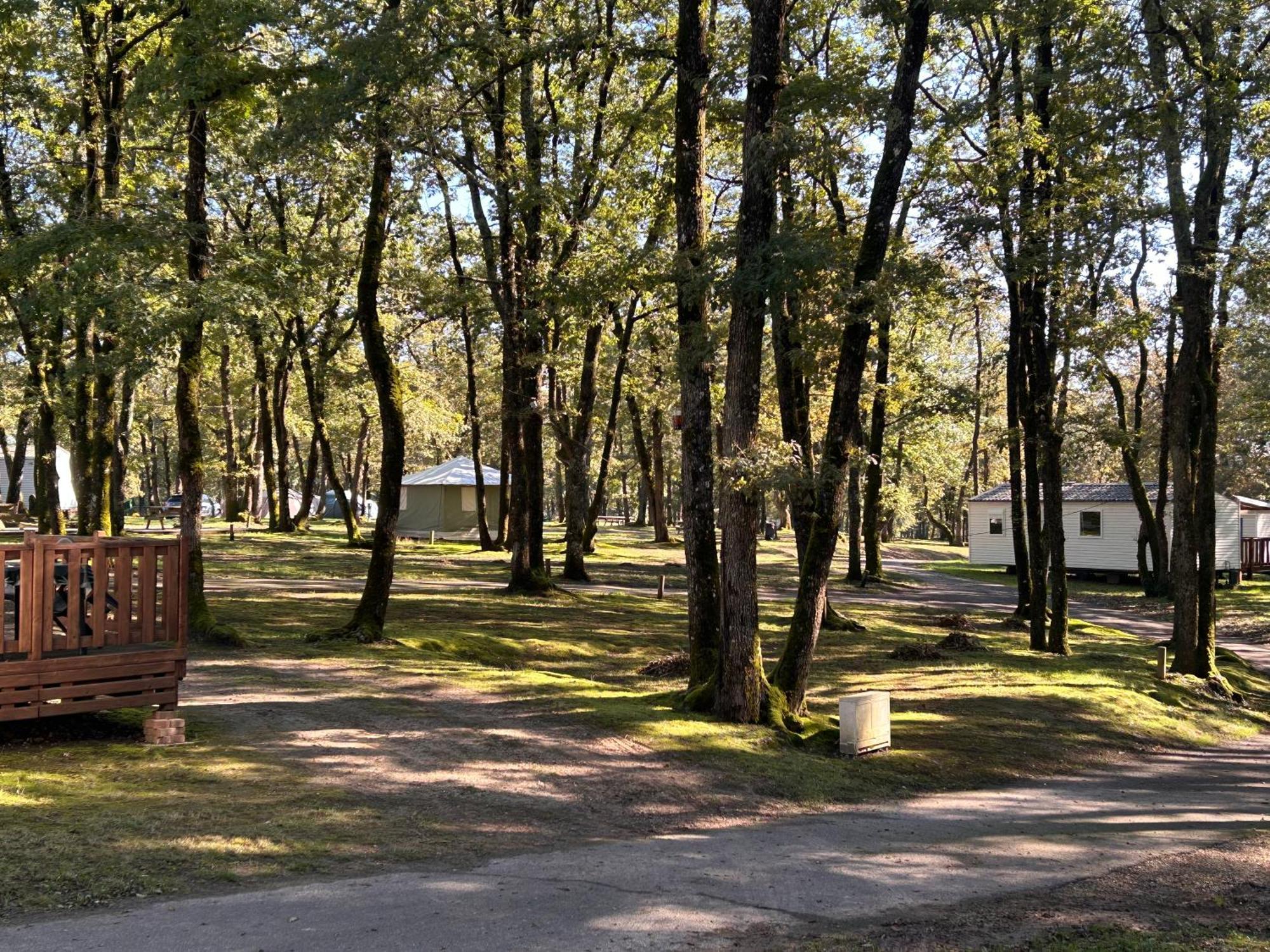 Coussay-les-Bois Camping Les Petites Minaudieres מראה חיצוני תמונה